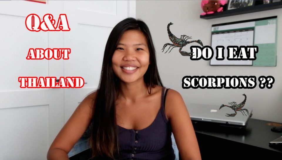 Q&A about Thailand : Do I eat scorpions??